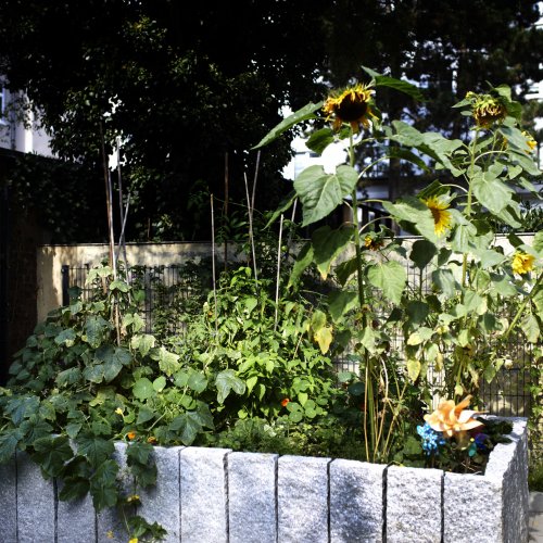 Hochbeete in unseren Wohnquartieren