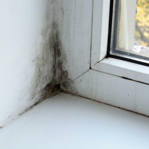 Energie sparen- Schimmel vermeiden